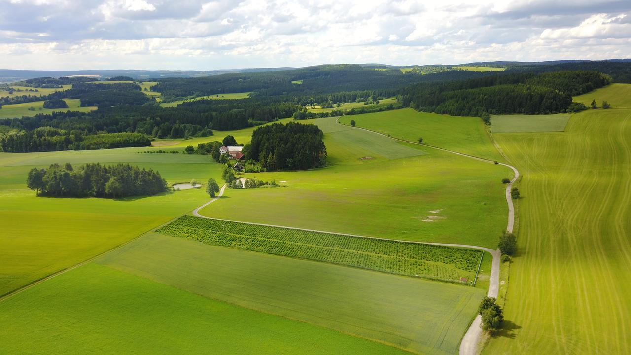 Ubytování U Kapličky Nove Mesto na Morave Exteriér fotografie